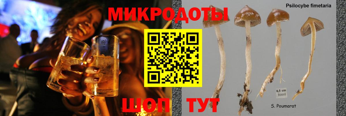 Псилоцибиновые грибы мицелий  Вход с VPN  купить наркотик  Псилоцибиновые грибы Psilocybe  Волхов 
